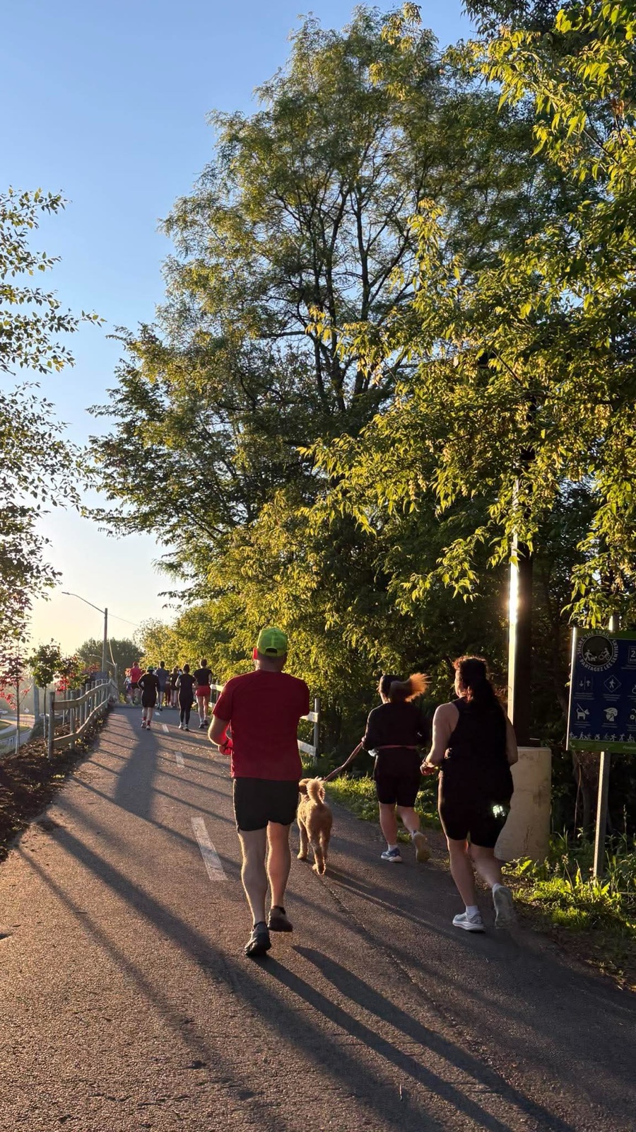 Adult Devon Deer runners moving together along a Fredericton riverside trail in warm morning light.