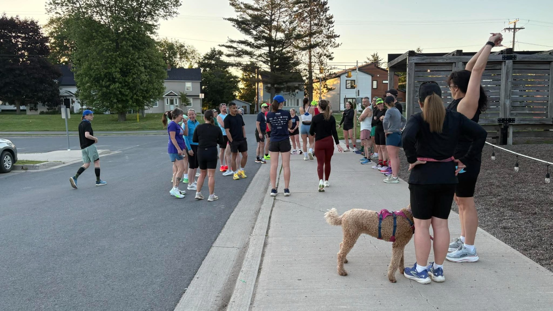 Adult Devon Deer runners gathering and talking outside Picaroons before an early morning road run.