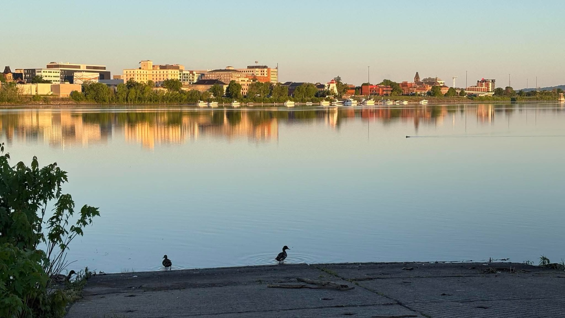 Early sunlight reflecting across the Wolastoq toward downtown Fredericton.